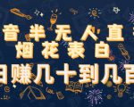 抖音半无人直播烟花表白，日赚几十到几百（教程+视频模板素材）|淘骐网赚资源库