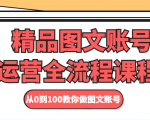 精品图文账号运营全流程课程 从0到100教你做图文账号|淘骐网赚资源库