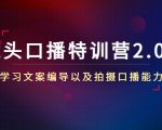 镜头口播特训营2.0版,学习文案编导以及拍摄口播能力(50节课时)|淘骐网赚资源库