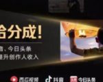2022年最新中视频变现最稳最长期的项目,一个账号月入几万很简单|淘骐网赚资源库