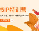 小红书IP特训营:从搭建-制作-爆款脚本等等,做一个赚钱的小红书号|淘骐网赚资源库