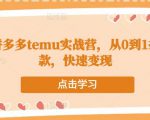 跨境拼多多temu实战营,从0到1打造爆款,快速变现|淘骐网赚资源库