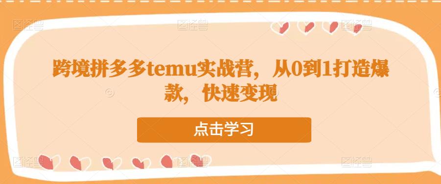 跨境拼多多temu实战营,从0到1打造爆款,快速变现|淘骐网赚资源库