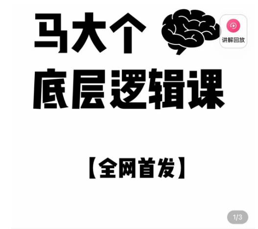 马大个·底层逻辑课,51节底层逻辑智慧课-价值1980元|淘骐网赚资源库