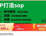 瑶瑶·自然流IP孵化,系统掌握IP孵化全流程,也能学到选题,剪辑,账号运营经验|淘骐网赚资源库