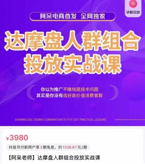 阿呆电商·达摩盘人群组合投放实战课,你以为推广不赚钱是技术问题,其实是你没有选好高价值消费客群|淘骐网赚资源库