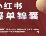 小红书爆单锦囊，自带种草属性+高质量女性用户，为你的企业开辟一条新的掘金路径|淘骐网赚资源库