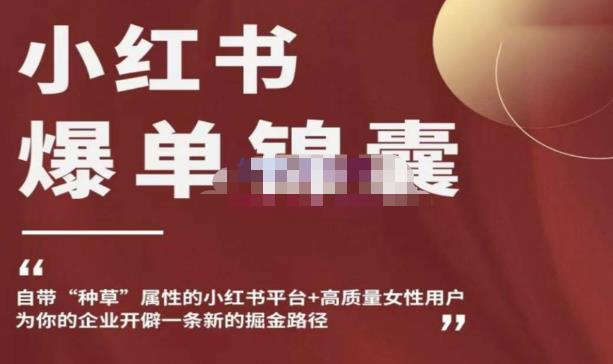 小红书爆单锦囊,自带种草属性+高质量女性用户,为你的企业开辟一条新的掘金路径|淘骐网赚资源库