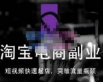 蓝Sir派·淘宝短视频快速起店,替代传统搜索方式,学会做一个不一样的淘宝店|淘骐网赚资源库