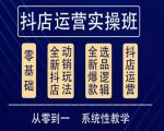 他创传媒·抖音小店系统运营实操课,从零到一系统性教学,抖店日出千单保姆级讲解|淘骐网赚资源库