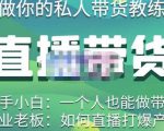 硬核传媒·直播带货(私人教练),实操实战教学,通俗易懂,学完后新手小白一个人也能做带货|淘骐网赚资源库