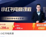 胖哥·小红书电商课程，解决小白做小红书电商时的困惑，让新人也一台手机也能做电商|淘骐网赚资源库