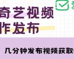爱奇艺号视频发布,每天只需花几分钟即可发布视频,简单操作收入过万【教程+涨粉攻略】|淘骐网赚资源库