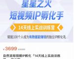 瑶瑶·自然流短视频IP孵化第二期,14天线上实战训练营,赋能100个人成为有数据能赚钱的独立IP孵化手|淘骐网赚资源库