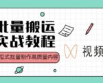 视频号批量搬运实战操作运营赚钱教程,傻瓜式批量制作高质量内容【附视频教程+PPT】|淘骐网赚资源库