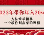 韭菜-联盟·2023年带你年入20w+方法简单粗暴，一个教你割韭菜的课程|淘骐网赚资源库
