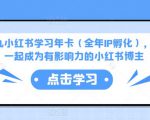 厦九九小红书学习年卡(全年IP孵化),沉浸式学习,一起成为有影响力的小红书博主|淘骐网赚资源库