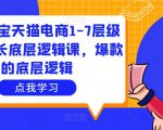 大圣淘宝天猫电商1-7层级盈利增长底层逻辑课,爆款的底层逻辑|淘骐网赚资源库