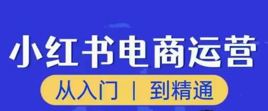 顽石小红书电商高阶运营课程，从入门到精通，玩法流程持续更新|淘骐网赚资源库