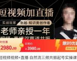 张越·短视频+直播,自然流三频共振起号实操课,短视频所有流量玩法讲解|淘骐网赚资源库