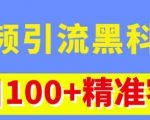 视频引流黑科技玩法，不花钱推广，视频播放量达到100万+，每日100+精准客源|淘骐网赚资源库