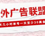 外面收费1980的最新国外LEAD广告联盟搬砖项目,单号一天至少30美金【详细玩法教程】|淘骐网赚资源库
