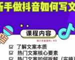 新手做抖音如何写文案,手把手实操如何拆解热门文案|淘骐网赚资源库