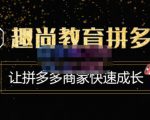 趣尚教育·拼多多运营实操VIP特训营，让拼多多商家快速成长-价值3180元|淘骐网赚资源库