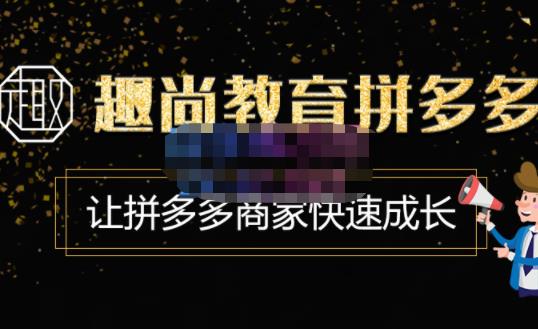 趣尚教育·拼多多运营实操VIP特训营,让拼多多商家快速成长-价值3180元|淘骐网赚资源库
