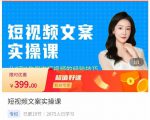 小秋·短视频文案实操课,从0到1教你做短视频的经验技巧|淘骐网赚资源库