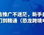 亚马逊广告推广不迷茫，新手卖家产品运营入门到精通（恐龙跨境电商）|淘骐网赚资源库