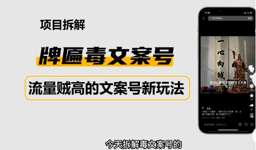 2023抖音快手毒文案新玩法,牌匾文案号,起号快易变现|淘骐网赚资源库