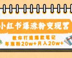小红书爆涨粉变现营，教你打造爆款笔记，年涨粉20w+月入20w|淘骐网赚资源库