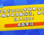 D1G馆长2023年收费990的抖音小程序变现新玩法,单号轻松日入200+|淘骐网赚资源库