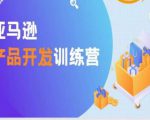 亚马逊产品开发训练营,能爆单的产品开发方法,助你突出重围|淘骐网赚资源库