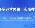 拼多多店铺运营思路与实操教程,快速学会拼多多开店和运营,少踩坑,多盈利|淘骐网赚资源库
