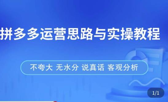 拼多多店铺运营思路与实操教程,快速学会拼多多开店和运营,少踩坑,多盈利|淘骐网赚资源库