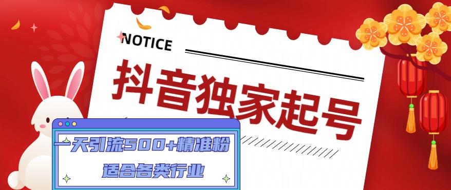 抖音独家起号,一天引流500+精准粉,适合各类行业(9节视频课)|淘骐网赚资源库