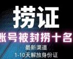 2023年最新抖音八大技术，一证多实名，秒注销，断抖破投流，永久捞证，钱包注销，跳人脸识别，蓝V多实|淘骐网赚资源库