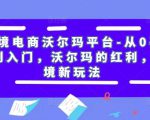 跨境电商沃尔玛平台-从0基础到入门,沃尔玛的红利,跨境新玩法|淘骐网赚资源库
