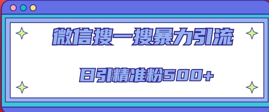 微信搜一搜引流全系列课程，日引精准粉500+（8节课）|淘骐网赚资源库