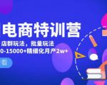 美团电商特训营：美团·店群玩法，无脑铺货月产出6000-15000+精细化月产2w+|淘骐网赚资源库