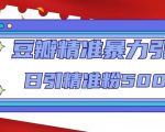 豆瓣精准暴力引流，日引精准粉500+【12课时】|淘骐网赚资源库
