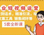 5套·美业短视频运营课从场景到话术·精准引流·吸金文案工具·销售闭环等|淘骐网赚资源库