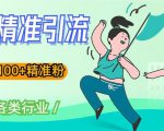 soul精准引流系列课程，一天引流100+精准粉，适合各类行业|淘骐网赚资源库