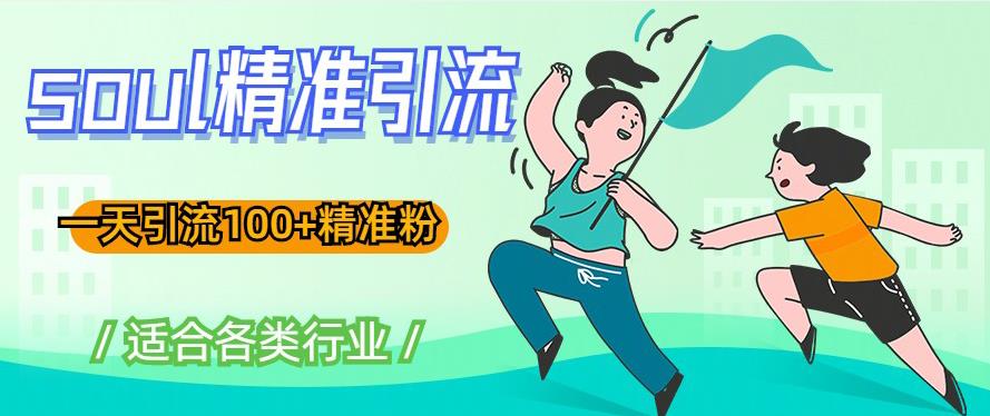 soul精准引流系列课程,一天引流100+精准粉,适合各类行业|淘骐网赚资源库