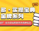 拼多多·实操宝典:金牌系列“小白到高手”带你全方位玩转拼多多各种玩法|淘骐网赚资源库