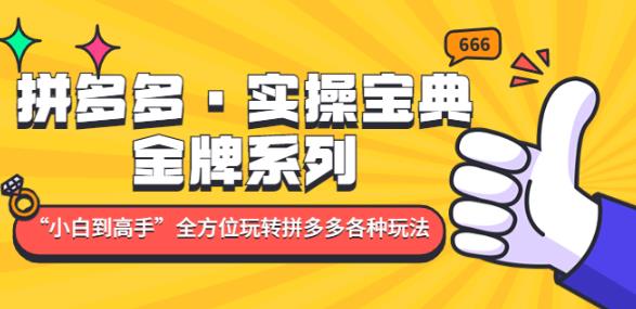 拼多多·实操宝典:金牌系列“小白到高手”带你全方位玩转拼多多各种玩法|淘骐网赚资源库