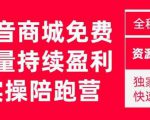 抖音商城搜索持续盈利陪跑成长营,抖音商城搜索从0-1、从1到10的全面解决方案|淘骐网赚资源库