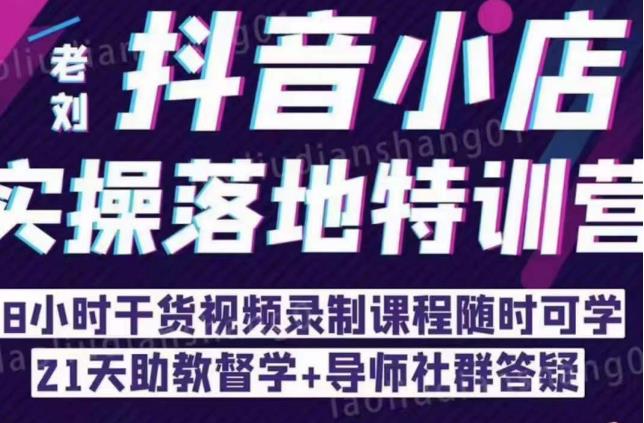 抖音小店实操落地特训营:抖音小店无货源精细化运营,抖店商品卡流量(22节)-第一资源库